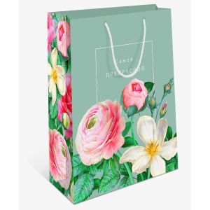 Сумка AA 330х425х100 мм