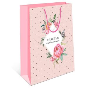 Сумка BC 180х223х100 мм