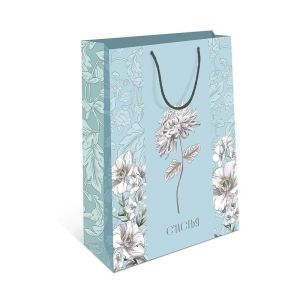 Сумка BC 180х223х100 мм