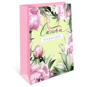 Сумка AA 330х425х100 мм