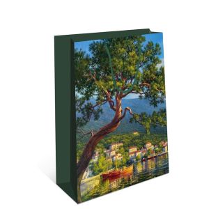 Сумка подарочная 180х223х100 мм