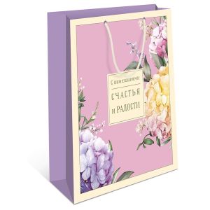 Сумка BC 180х223х100 мм