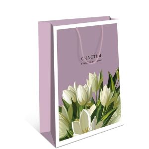 Сумка AB 260х320х120 мм