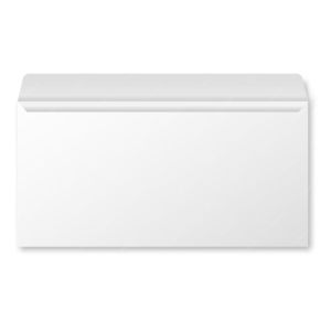Конверт бумажный, простой белый 11*22 см.