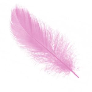 Перья Нежно-розовые 14-17 см / 30 шт. / (Китай)