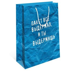 Сумка подарочная