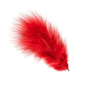 Перья Красные / 30 шт. / (Китай)