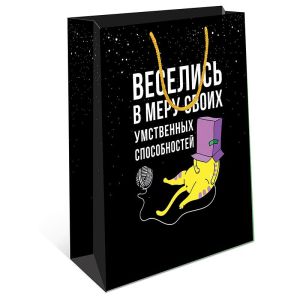 Сумка BC 180х223х100 мм