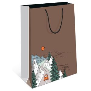 Сумка подарочная 180х223х100 мм