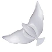 К Фигура, Голубь, Белый, 34