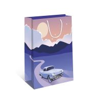 Сумка DE 115х145х65 мм