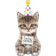 Б Фигура, Котенок в колпаке, 41