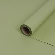 Пленка матовая Корейская МАКАРУНС 02 Оливковый 58см*10м