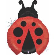 G Шар (27''/69 см) Фигура, Божья коровка, Голография, 1 шт.