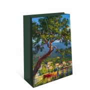 Сумка подарочная 180х223х100 мм