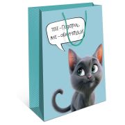 Сумка BC 180х223х100 мм