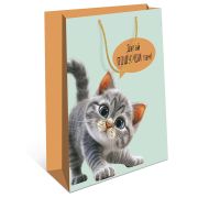 Сумка BC 180х223х100 мм