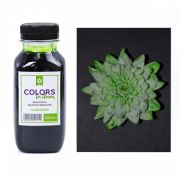 Краска для окрашивания живых цветов Салатовый 250мл Р