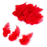 Перья цветные 8-10см красные (100 шт./уп.)
