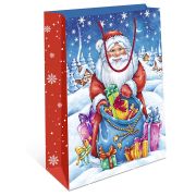 Сумка подарочная НГ 260х320х120