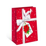 Сумка бумажная стандарт плюс НГ