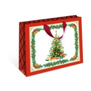 Сумка бумажная стандарт плюс НГ