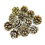 Природный декор «Шишки» Белые /набор 12 шт/ (Китай)