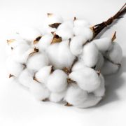 Натуральный хлопок обработанный, 10 коробочек (40 см, 60 гр +/- 5 гр) / 1 упак. / (Китай)