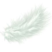 Перья Белые / 30 шт. / (Китай)