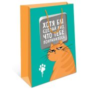 Сумка BC 180х223х100 мм