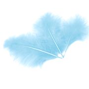 Перья, Премиум, Светло-голубой, 12-15 см, 30 шт.